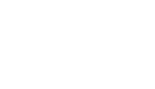 oc white video inspection